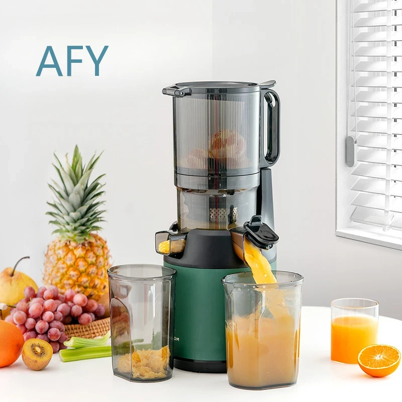 220V Slow Juicer Kaltpress-Ent – Electric Slow Juicer Cold Press Bewertung und Preis
